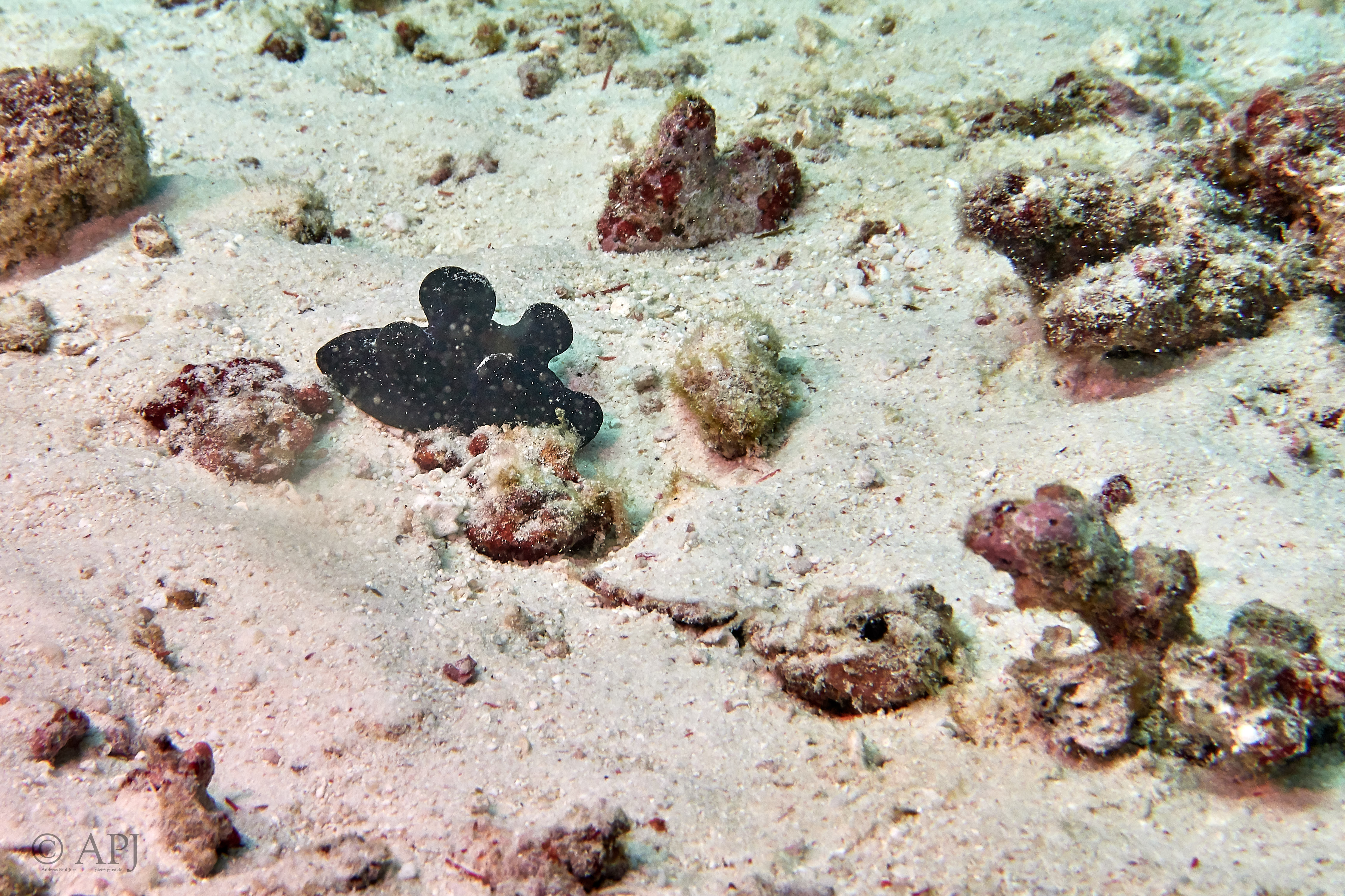 000834 15 08 17  Canon PowerShot G7 X Mark II   Malediven2017